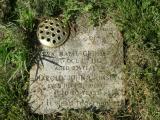 image of grave number 123822